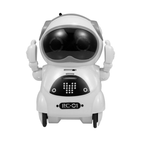 HOBBY Pocket RC Robot