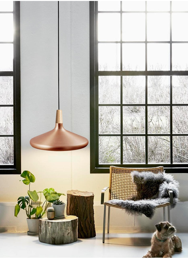 Paco - Modern Nordic Pendant Lamp