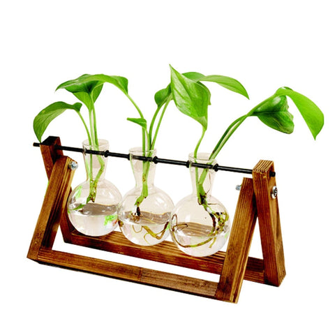 Image of Terrarium Creative Hydroponic Plant Transparent Vase Wooden Frame Vase Decoratio Glass Tabletop Plant Bonsai Decor Flower Vase