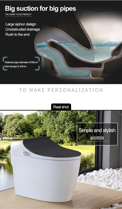 Intelligent Toilet - Remote Controlled